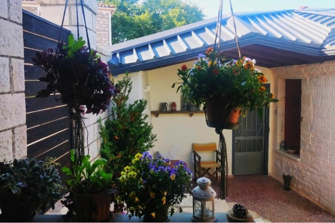 The Traditional Greek House Янина Екстериор снимка